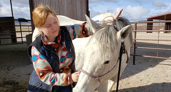 Horse Massage Therapist Horse Training Classes Bucking The Sun Equine Expert